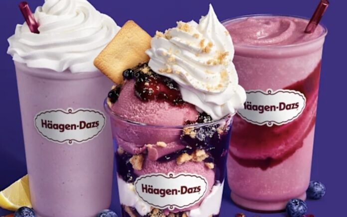 Häagen-Dazs Summer Blueberry Oat Milk Dessert